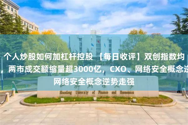 个人炒股如何加杠杆控股 【每日收评】双创指数均跌超1%，两市成交额缩量超3000亿，CXO、网络安全概念逆势走强