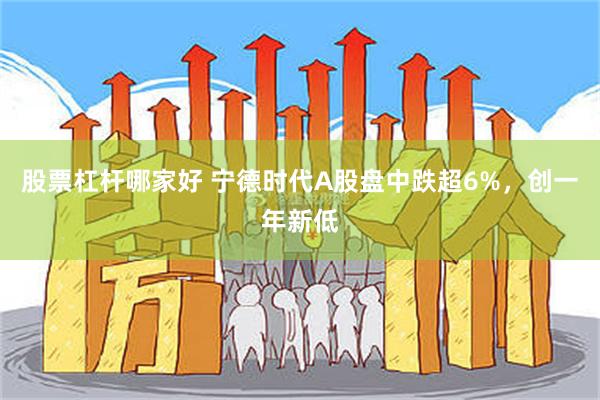 股票杠杆哪家好 宁德时代A股盘中跌超6%，创一年新低