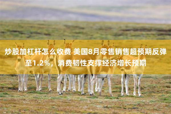 炒股加杠杆怎么收费 美国8月零售销售超预期反弹至1.2%，消费韧性支撑经济增长预期