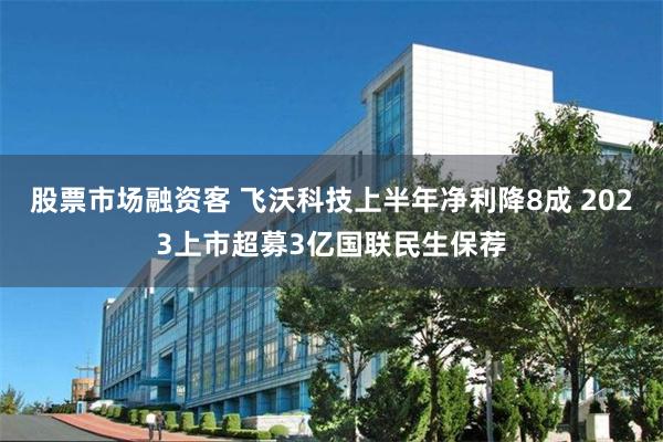股票市场融资客 飞沃科技上半年净利降8成 2023上市超募3亿国联民生保荐