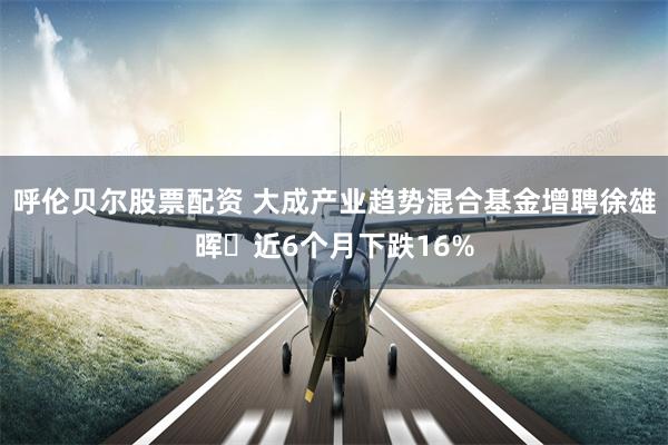 呼伦贝尔股票配资 大成产业趋势混合基金增聘徐雄晖 近6个月下跌16%