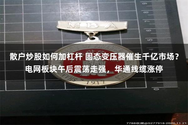 散户炒股如何加杠杆 固态变压器催生千亿市场？电网板块午后震荡走强，华通线缆涨停