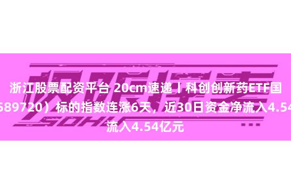 浙江股票配资平台 20cm速递丨科创创新药ETF国泰（589720）标的指数连涨6天，近30日资金净流入4.54亿元