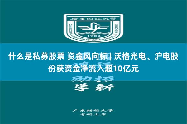 什么是私募股票 资金风向标 | 沃格光电、沪电股份获资金净流入超10亿元