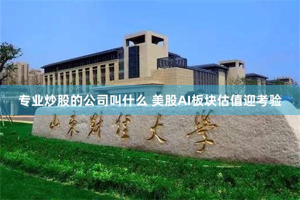 专业炒股的公司叫什么 美股AI板块估值迎考验
