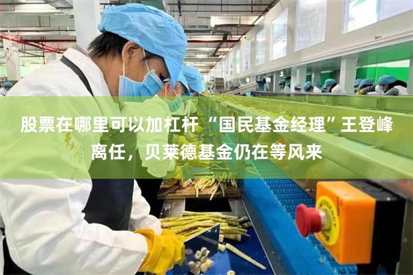股票在哪里可以加杠杆 “国民基金经理”王登峰离任，贝莱德基金仍在等风来