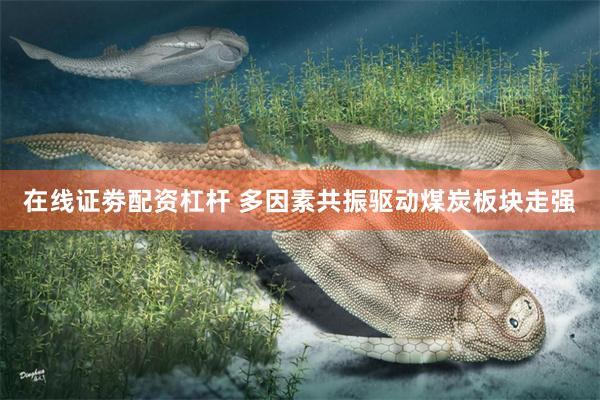 在线证劵配资杠杆 多因素共振驱动煤炭板块走强