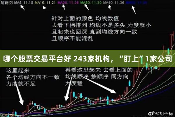 哪个股票交易平台好 243家机构，“盯上”1家公司