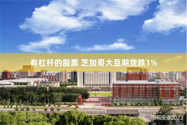 有杠杆的股票 芝加哥大豆期货跌1%