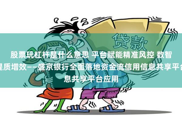 股票玩杠杆是什么意思 平台赋能精准风控 数智转型提质增效——盛京银行全面落地资金流信用信息共享平台应用